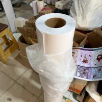 رول وینیل براق سازگار با اکوسالونت