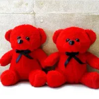 خرس ولنتاین ۲۰سانتی