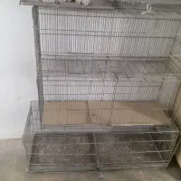 جوجه پرون برای انواع پرنده