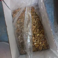 استخدام خانم در کارگاه گردو