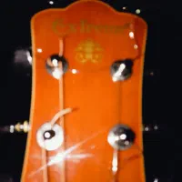 گیتار آکوستیک کنسرتی اکستریم|گیتار، بیس، امپلیفایر|اهواز, کوروش|دیوار