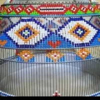 پرنده جوجه سهره خاکی درجه یک