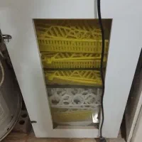 دستگاه جوجه کشی  هدایت