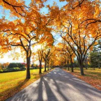 زمین کشاورزی  متراژ ۱۳۵۰ همراه با چاه اب شخصی