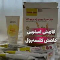 پودر جوانه گندم (تپلی صورت)|خوردنی و آشامیدنی|کاشان, عربها|دیوار