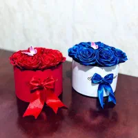 باکس قرمز