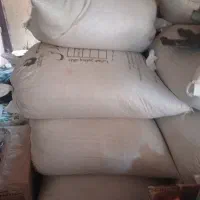 نخود بوجاری شده