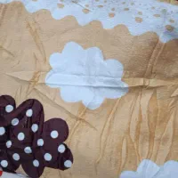 پتومسافرتی تک نفر|رختخواب، بالش، پتو|زابل, |دیوار