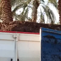 پخش کود حیوانی گاوی خالص|خدمات باغبانی و درختکاری|بم, |دیوار