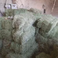 فروش یونجه