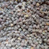هلر درجه یک ارگانیک|عمده‌فروشی|آباده, |دیوار