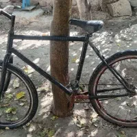 دوعد دوچرخه ۱۶و‌۲۶