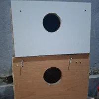 لونه ع وس وگرنجیک