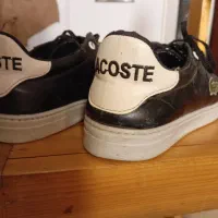 کفش|کیف، کفش، کمربند|بوشهر, |دیوار