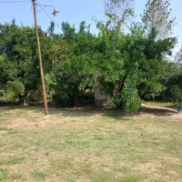 زمین تجاری ۲۱۰متری  دور میدان ولیعصر خمام