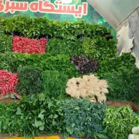 واگذاری-میوه-فروشی