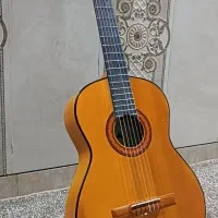 گیتار eko1