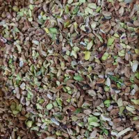 مغز شکسته و گندمی تازه و امسالی