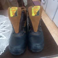 کفش ایمنی وکار گاهی