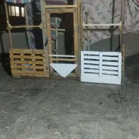 قفس