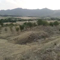 زمین کشاورزی|فروش دفتر صنعتی، کشاورزی، تجاری|شازند, |دیوار