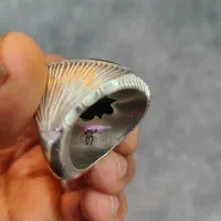 یشم دوقاب شیراز نقره امضا دار|جواهرات|شیراز, گویم|دیوار