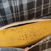 مبل ال|مبلمان خانگی و میز عسلی|تهران, هفت چنار|دیوار