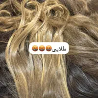 فروشنده مو اکستنشنی خریدار مو زال و طلایی مادرزادی