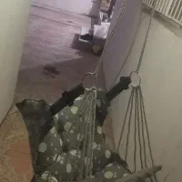 کالاسکه، تاب ریلکسی، تاب کیتی|کالسکه و لوازم جانبی|گالیکش, |دیوار