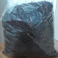 چای بهاره
