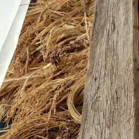 فروش جارو|لوازم نظافت|آشخانه, |دیوار