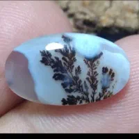 نگین شجر قائن و انگشتر نقره اوپال