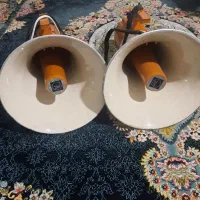 دو عدد بلندگو دستی ژاپنی