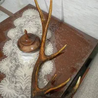 آنتیک شاخ گوزن کلکسیونی