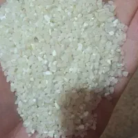 خرده برنج کامفیروزی به شرط