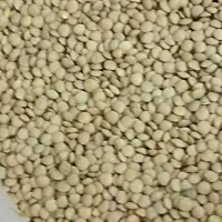 لوبیا چیتی درجه یک زود پز|خوردنی و آشامیدنی|قم, علی آباد سعدگان|دیوار