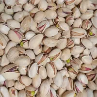 گردو، پسته|خوردنی و آشامیدنی|قم, نخودی|دیوار