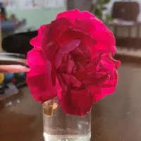 ثبت نام کلاس های زبان انگلیسی