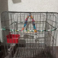 قفس مخصوص عنوان پرندگان بزرگ و کوچک|لوازم جانبی حیوانات|میناب, |دیوار