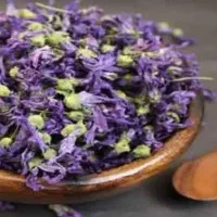 آموزش آنلاین طب سنتی|خدمات آموزشی|نوبران, |دیوار
