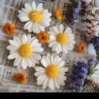 شمع بابونه ۱۰ عددی فقط ۱۰۰ هزار