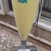 جارو تولیپس