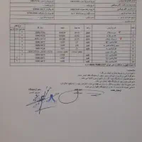 شلتوک چمپا محصول شالیزارهای اردل|خوردنی و آشامیدنی|اردل, |دیوار