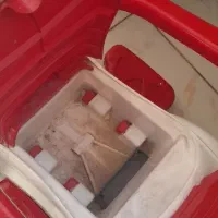 ماشین حمل بچه|اسباببازی|مشهد, کوی المهدی|دیوار