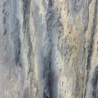 کاغذ دیواری های جدید رسید‌،مستقیم از واردکننده