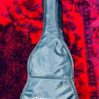 گیتار خوشرنگ اورجینال|گیتار، بیس، امپلیفایر|بجنورد, |دیوار