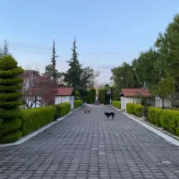 لوکس-ترین-کلاسیک-محدوده-دریابیشه