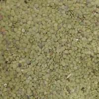 عدس بوجاری|خوردنی و آشامیدنی|مشگین شهر, |دیوار