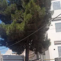 آپارتمان۸۸متر نوساز آسانسور طرقبه مقابل دانشگاه|فروش آپارتمان|مشهد, دانشجو|دیوار