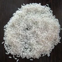 برنج هاشمی درجه یک